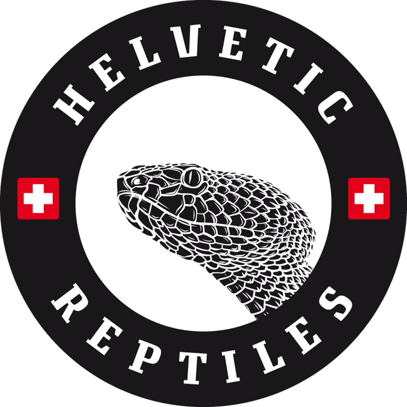 Helvetic Reptiles